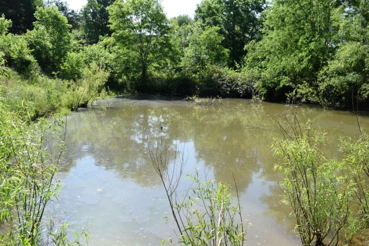 109 Bugtussle Road Fayetteville, TN 37334 - Photo 9 of 28 Gallery Image 9