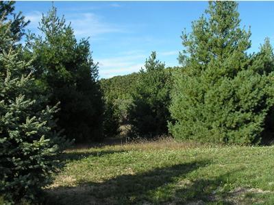 21746 Mintdale Road Sturgis, MI 49091 - Photo 4 of 12 Additional Photo