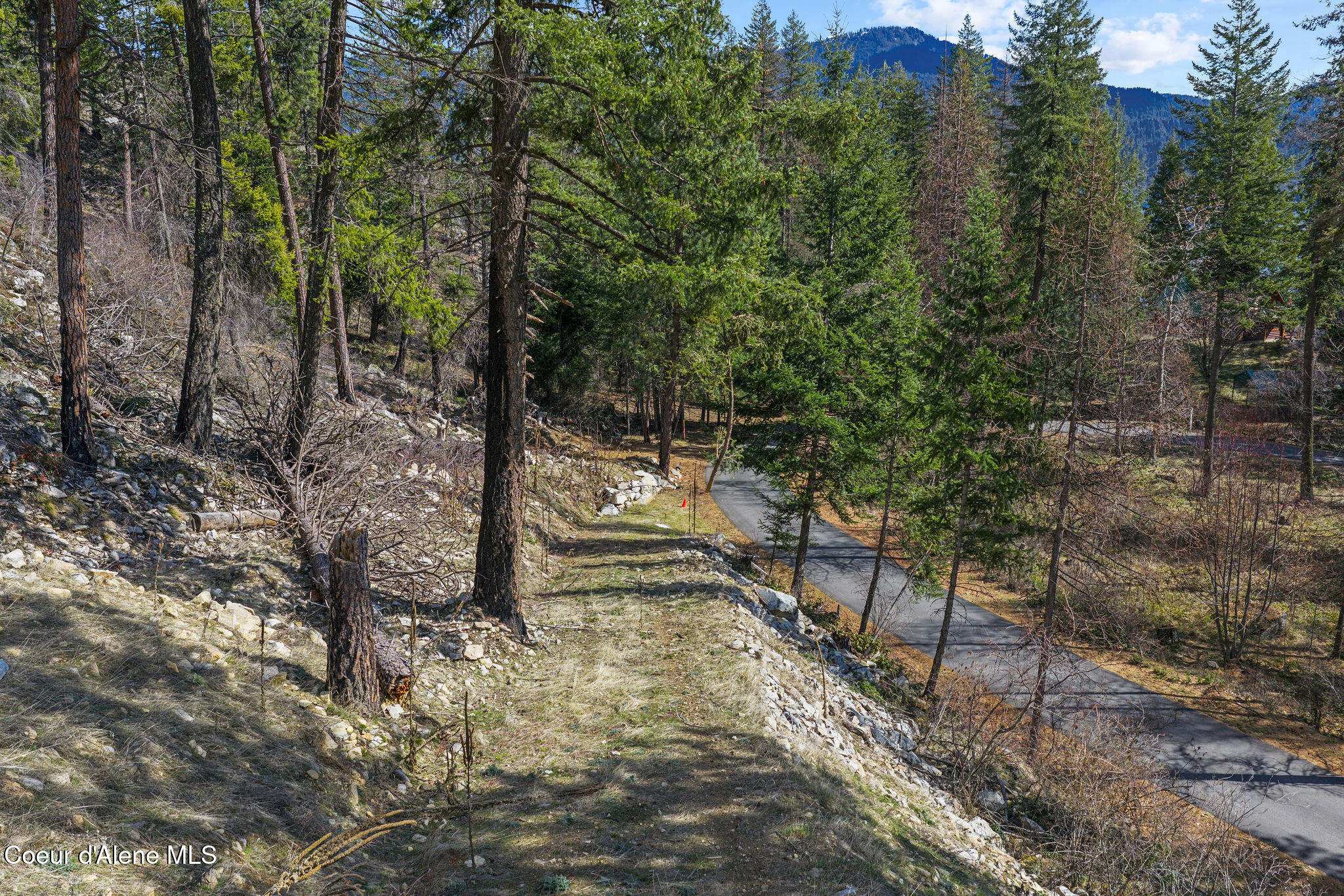 574 Glacier Loop Road Athol, ID 83801 - Photo 9 of 21 9_574GlacierLoop_SelkirkMedia