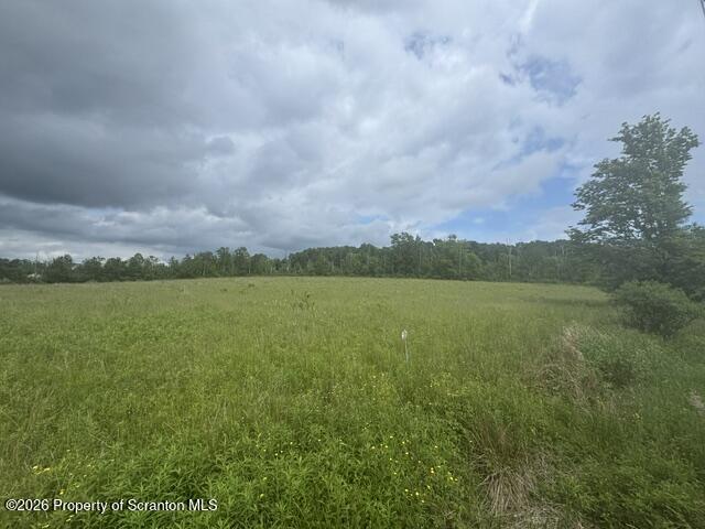 Lot 3 Reynolds Road Dalton, PA 18414 - Photo 2 of 6 IMG_0448