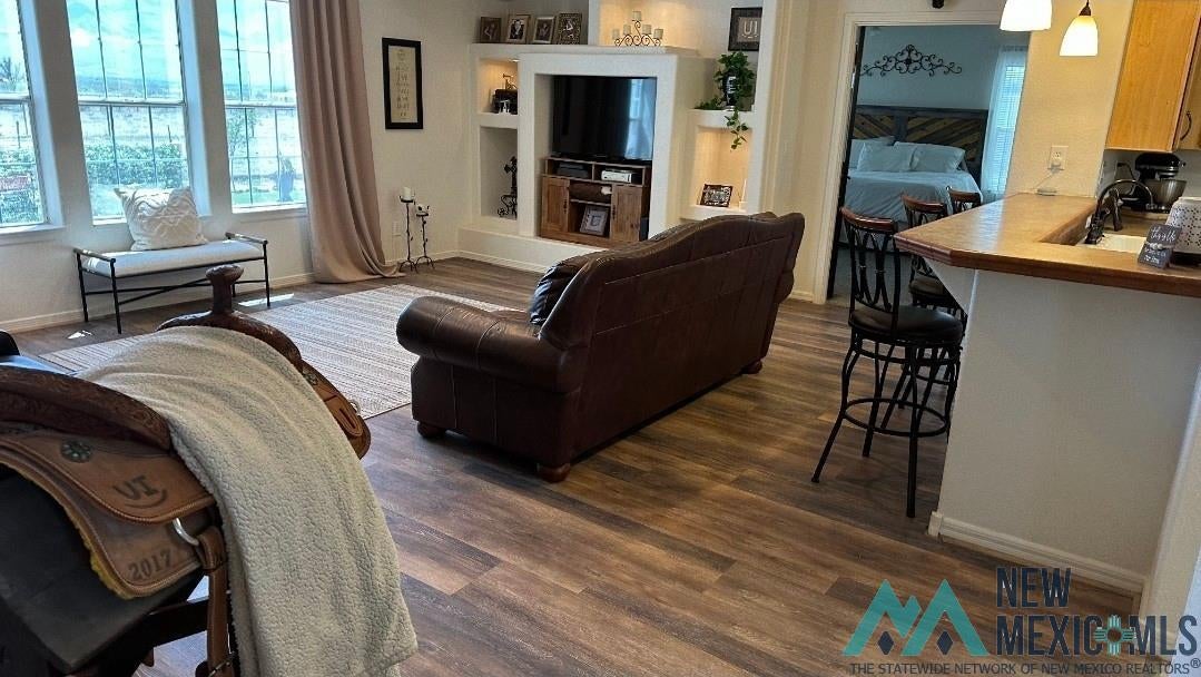 4 Midway Road Caballo, NM 87931 - Photo 5 of 43 Living area with dark wood-style flooring and built in features