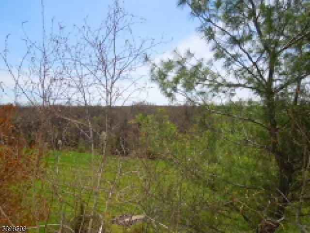a view of a yard with an trees
