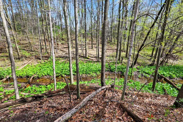 $449,900 | 0 West Old US Highway 12, Chelsea, MI 48118