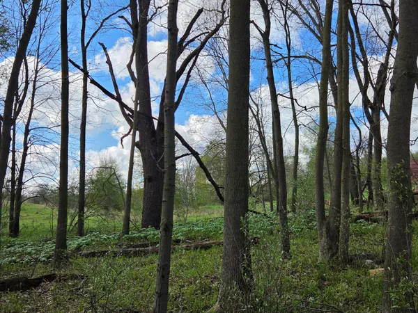$449,900 | 0 West Old US Highway 12, Chelsea, MI 48118