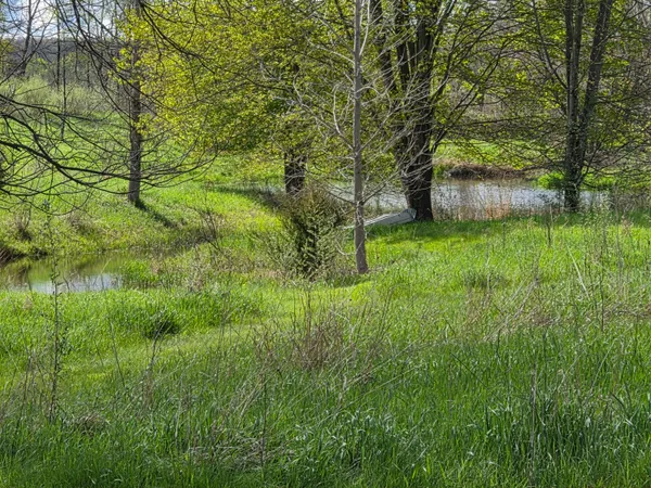 $449,900 | 0 West Old US Highway 12, Chelsea, MI 48118