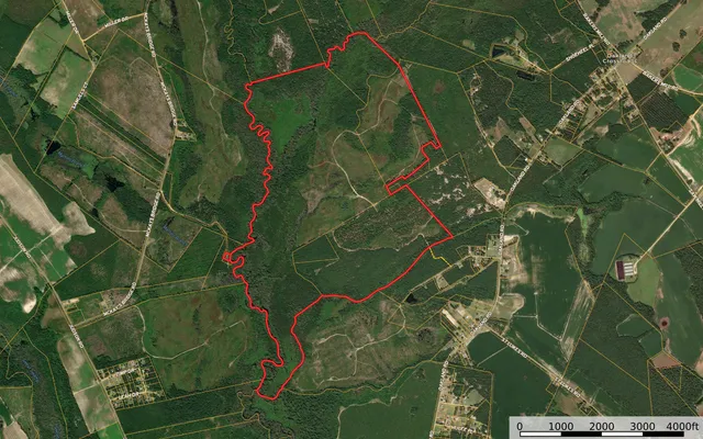 $1,535,112 | 0 Gully Branch Road, Hamer, SC 29547