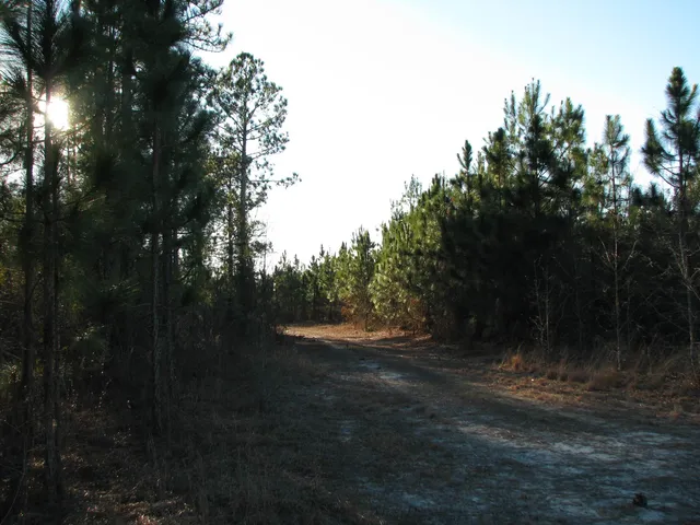 $1,535,112 | 0 Gully Branch Road, Hamer, SC 29547