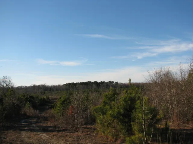 $1,535,112 | 0 Gully Branch Road, Hamer, SC 29547