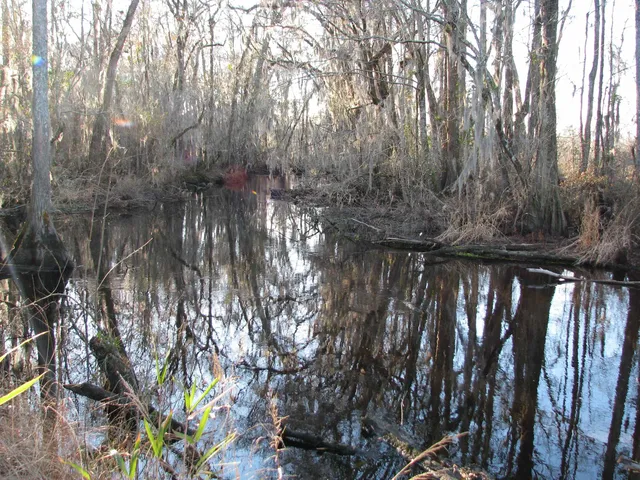 $1,535,112 | 0 Gully Branch Road, Hamer, SC 29547