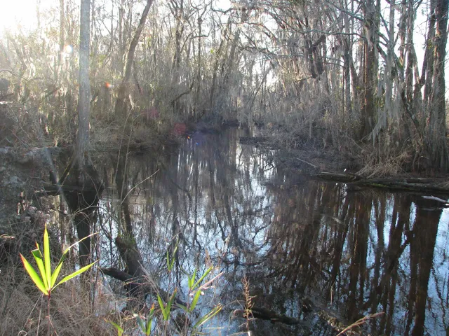 $1,535,112 | 0 Gully Branch Road, Hamer, SC 29547