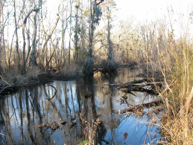 $1,535,112 | 0 Gully Branch Road, Hamer, SC 29547