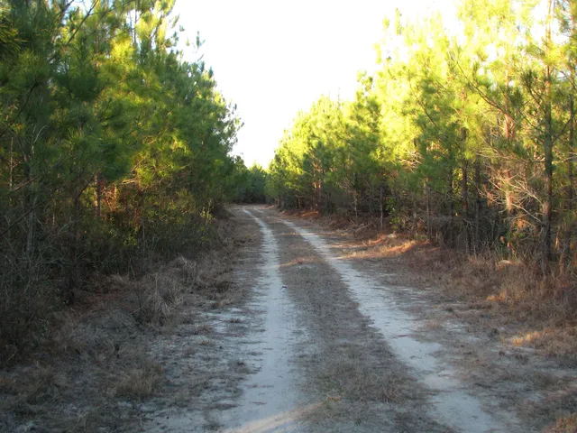 $1,535,112 | 0 Gully Branch Road, Hamer, SC 29547