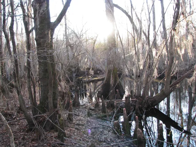 $1,535,112 | 0 Gully Branch Road, Hamer, SC 29547