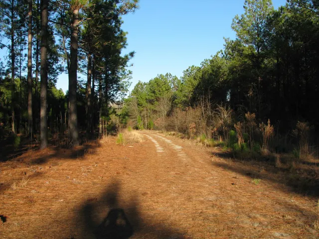 $1,535,112 | 0 Gully Branch Road, Hamer, SC 29547