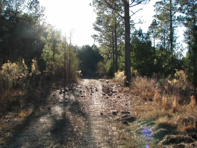 $1,535,112 | 0 Gully Branch Road, Hamer, SC 29547