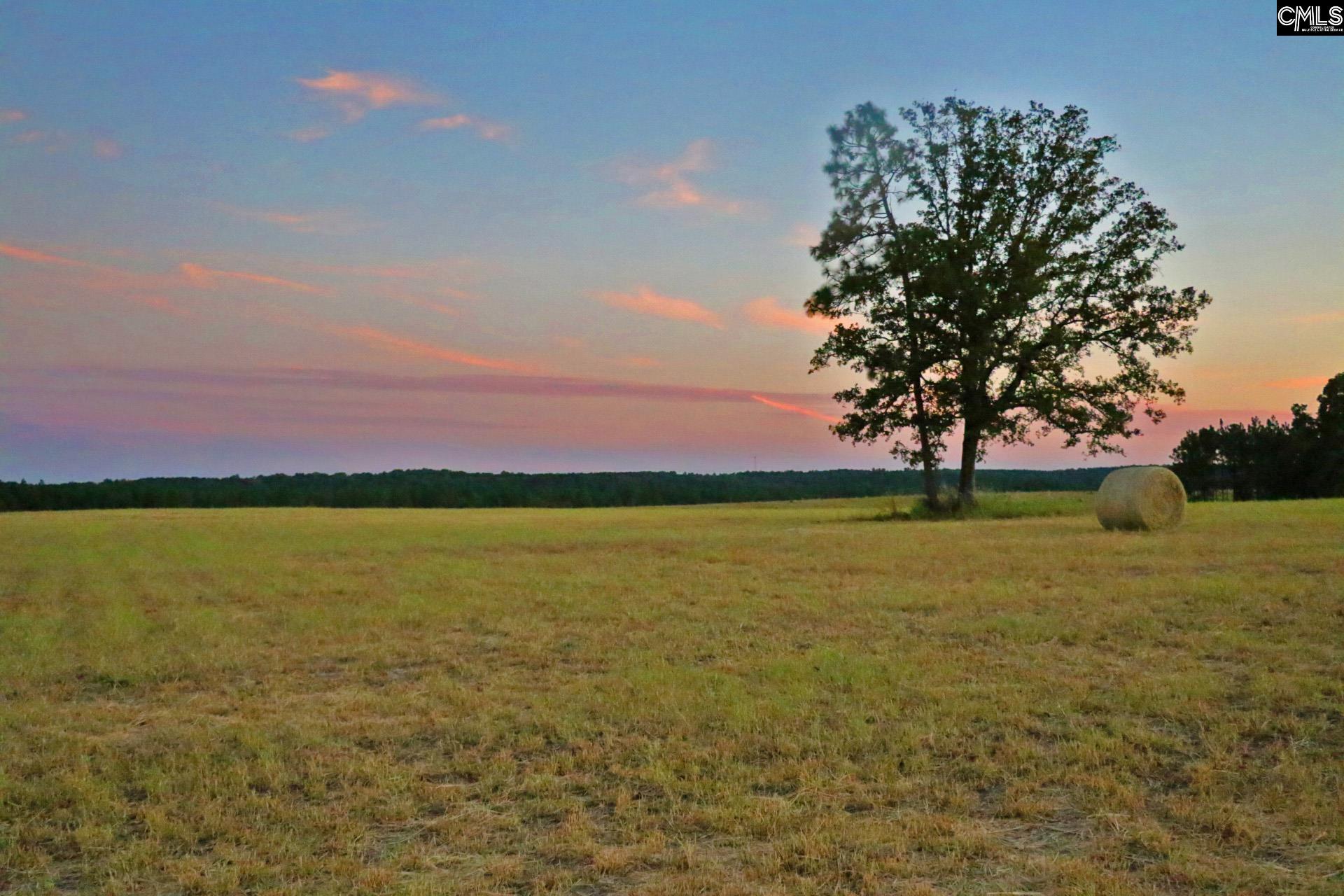Tbd Browns Pond Road Wagener, SC 29164 - Photo 27 of 48
