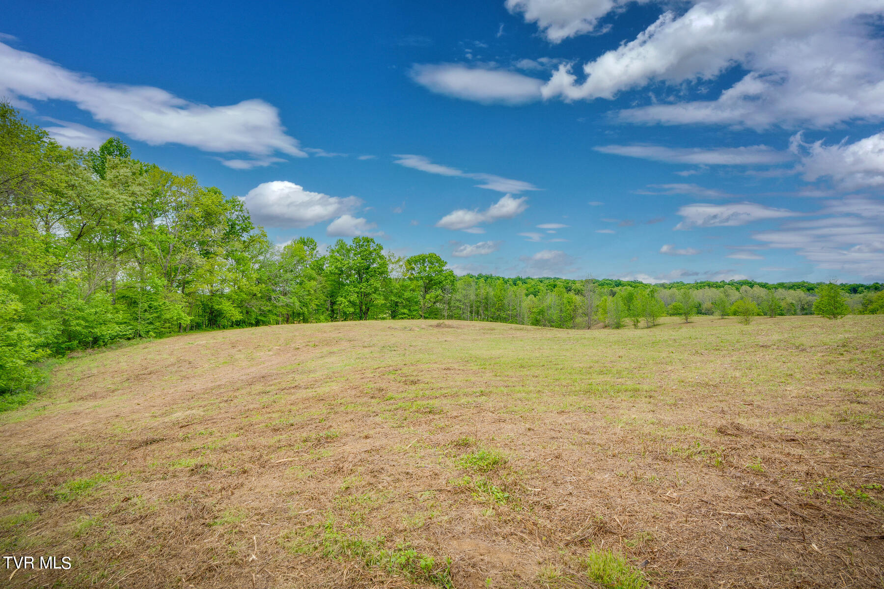 270 Jackson Hollow Road Mosheim, TN 37818 - Photo 3 of 20 002