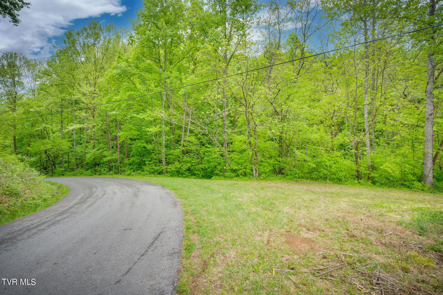 270 Jackson Hollow Road Mosheim, TN 37818 - Photo 5 of 20 004