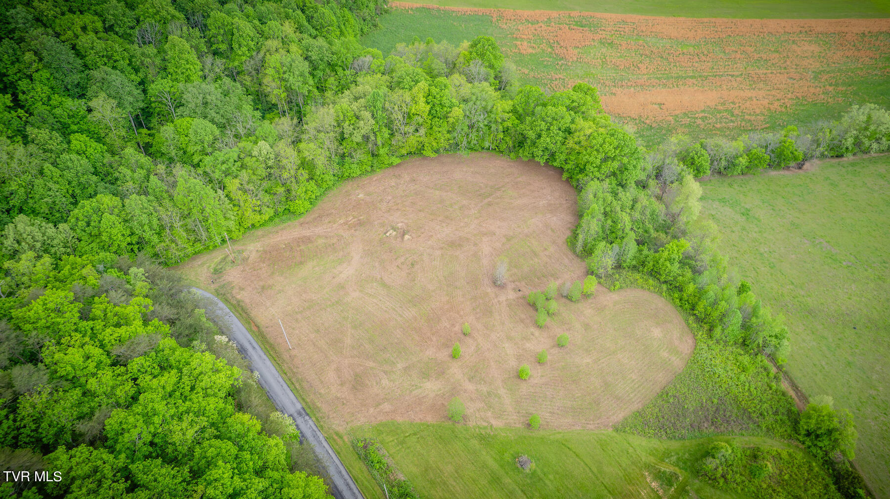 270 Jackson Hollow Road Mosheim, TN 37818 - Photo 6 of 20 101