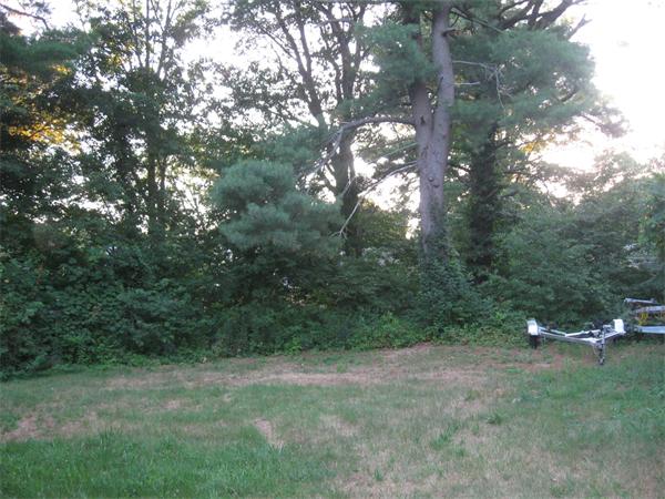 89 Juniper Road Holbrook, MA 02343 - Photo 7 of 7 a view of a forest with trees in the background