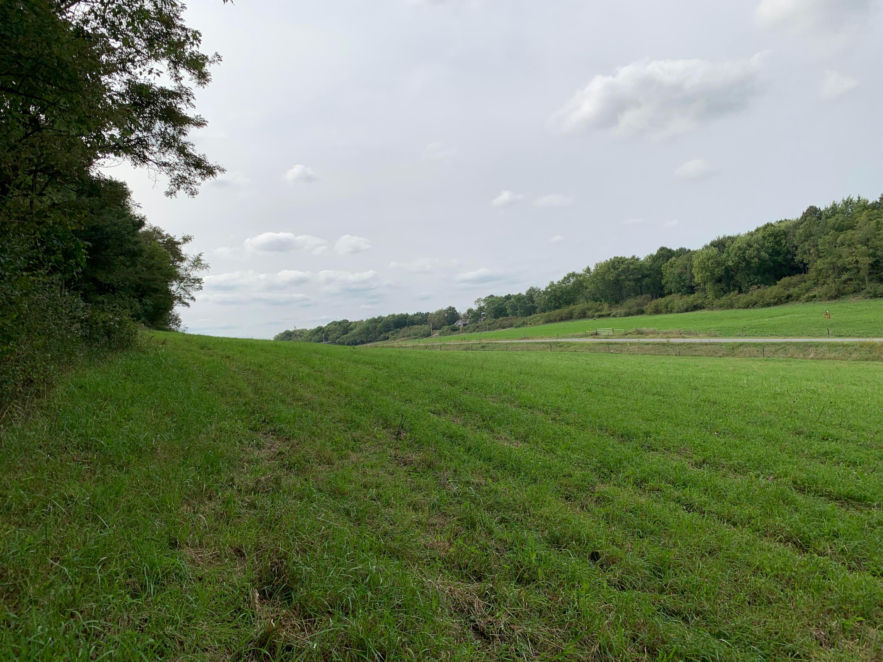 0 Cherry Run Road Northwest Strasburg, OH 44680 - Photo 13 of 35 20200916_193730971_iOS