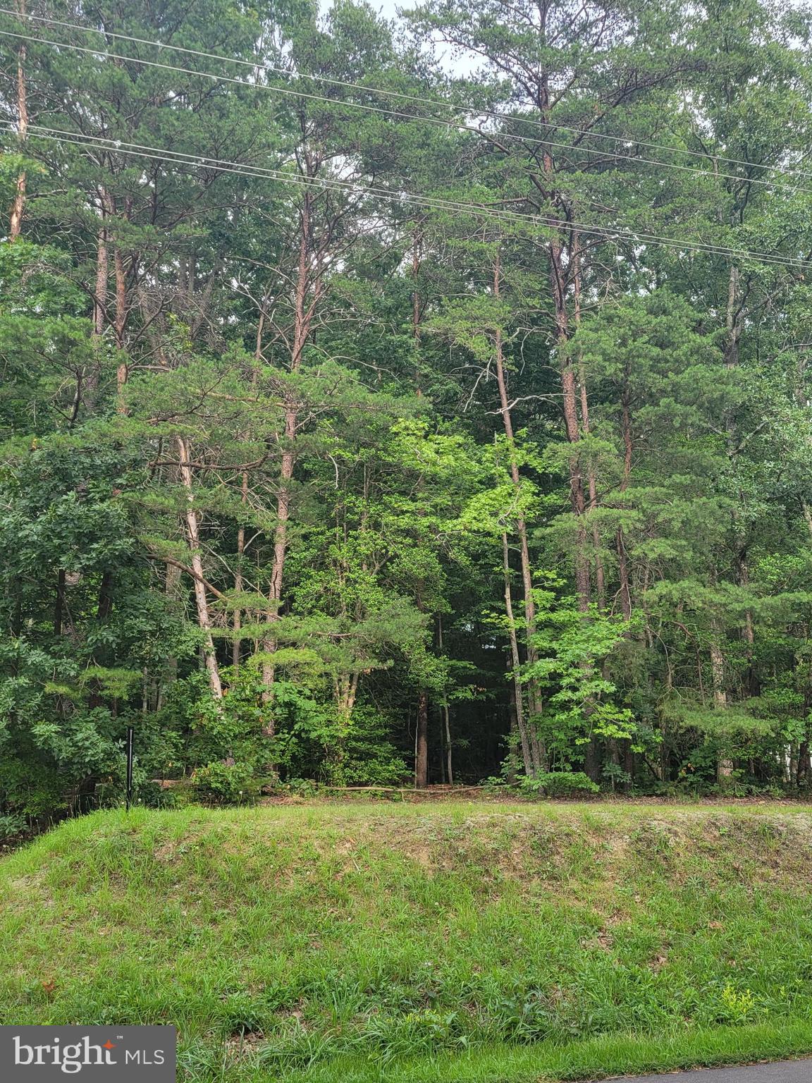 Countyline Church Road Ruther Glen, VA 22546 - Photo 1 of 2