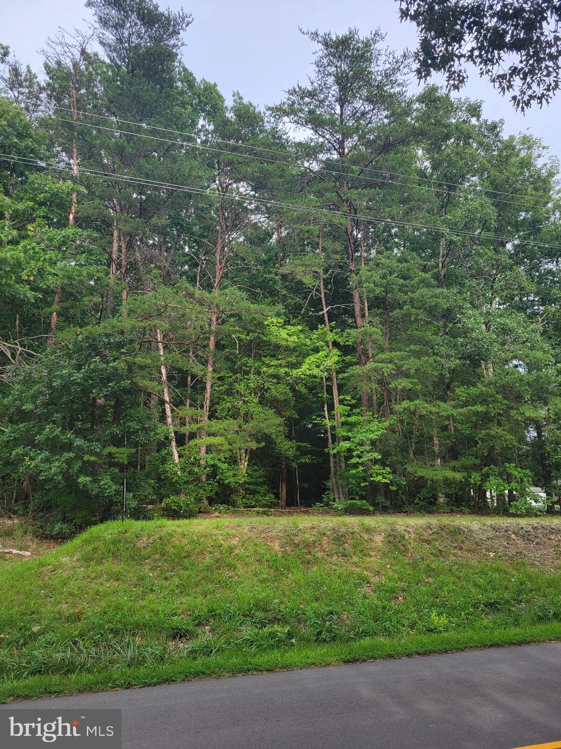 Countyline Church Road Ruther Glen, VA 22546 - Photo 2 of 2