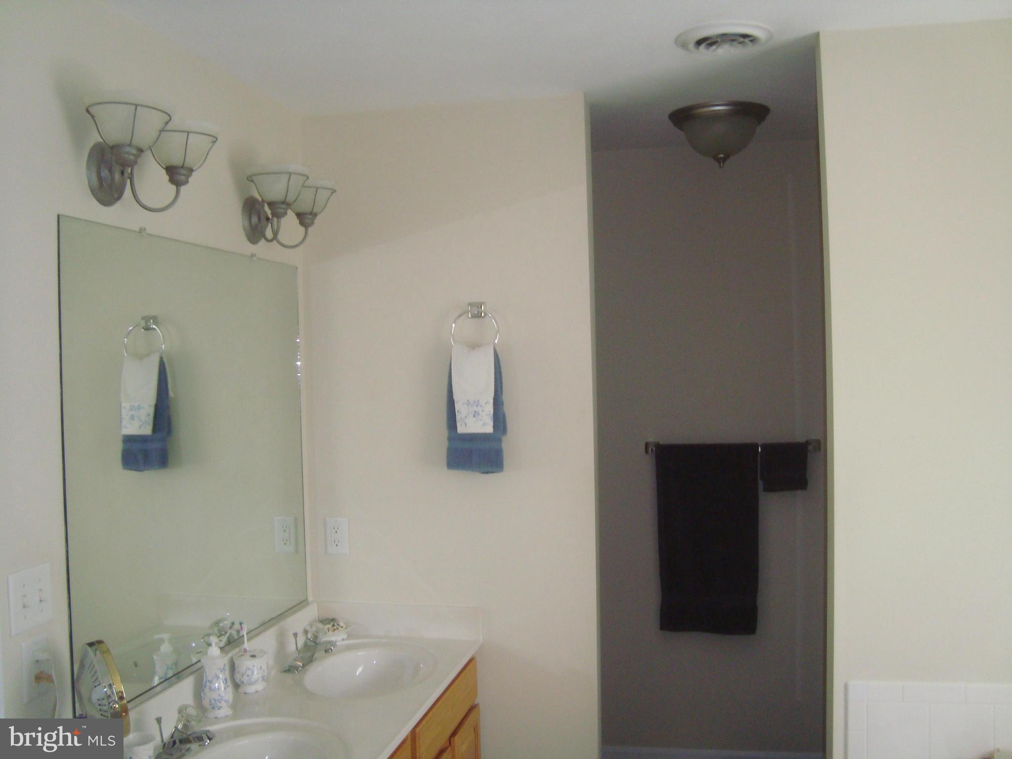 12521 Kent Road King George, VA 22485 - Photo 15 of 30 Bath (Master)