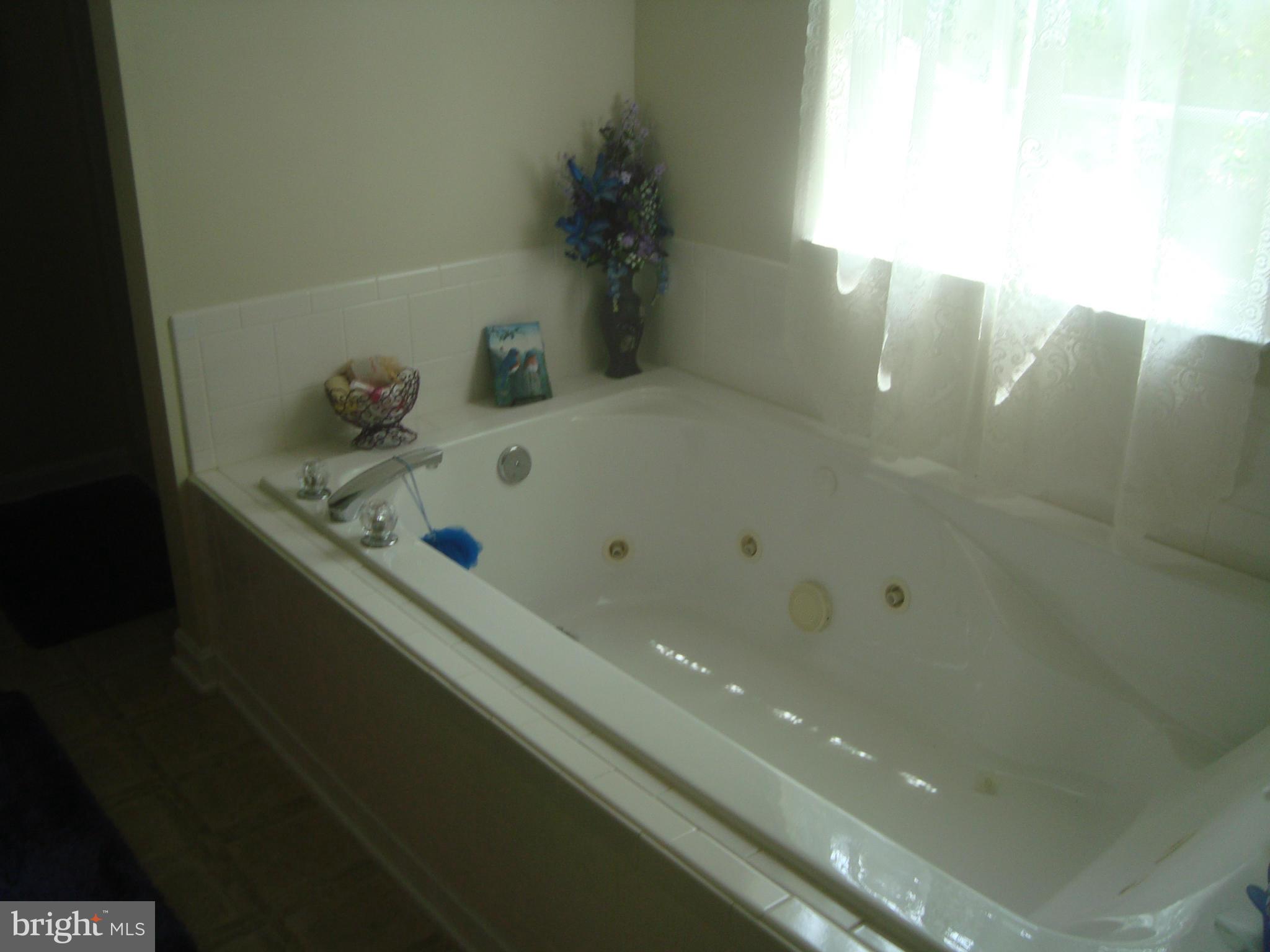 12521 Kent Road King George, VA 22485 - Photo 16 of 30 Bath (Master)