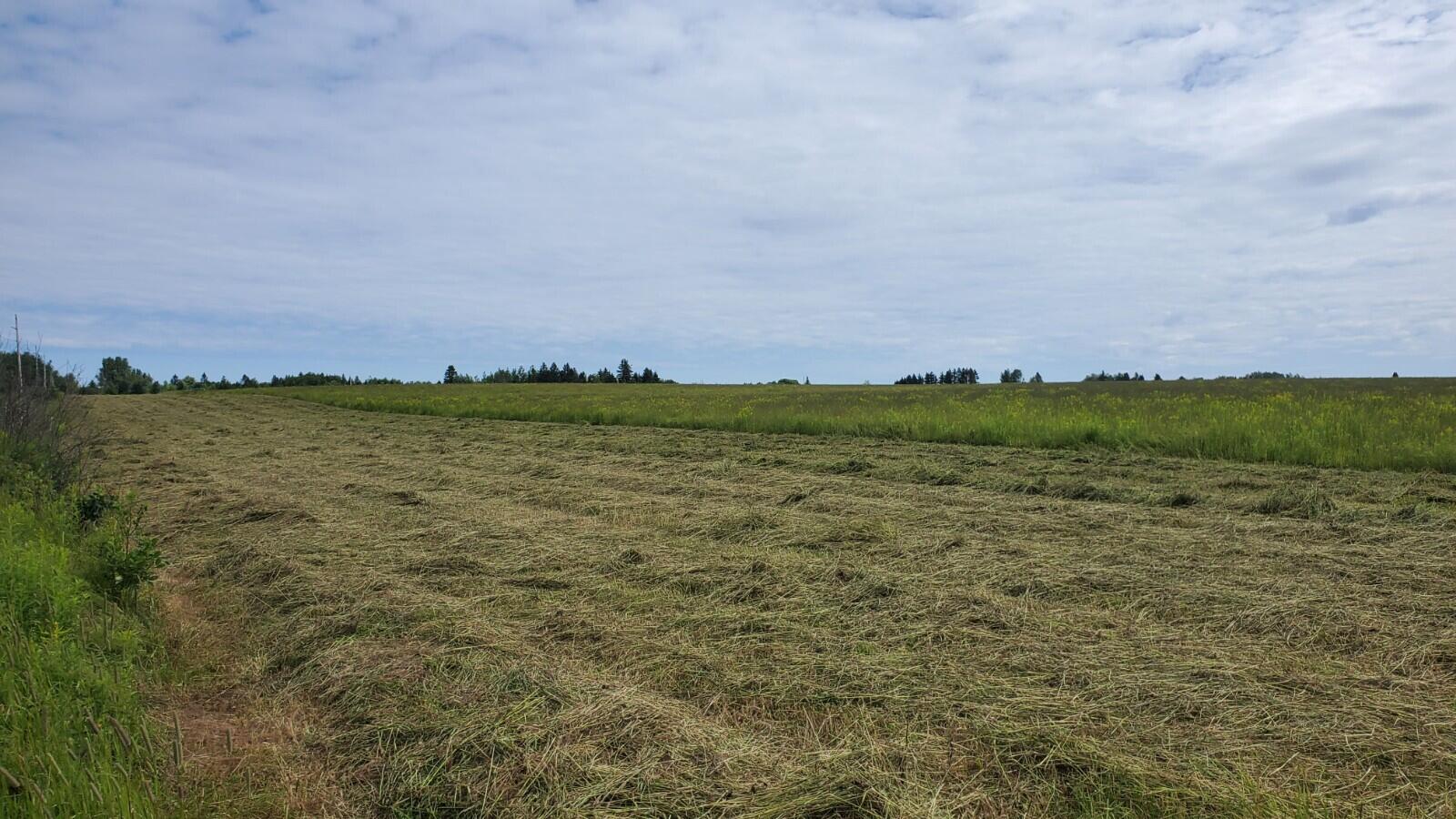 Lot 29 Rebel Hill Road Merrill, ME 04780 - Photo 4 of 11 20210723_101825
