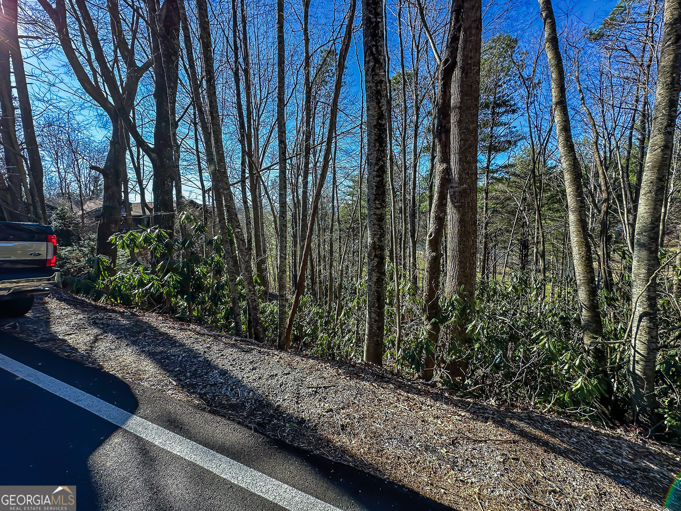 Lot 1 Ridgepole Drive Sky Valley, GA 30537 - Photo 7 of 10