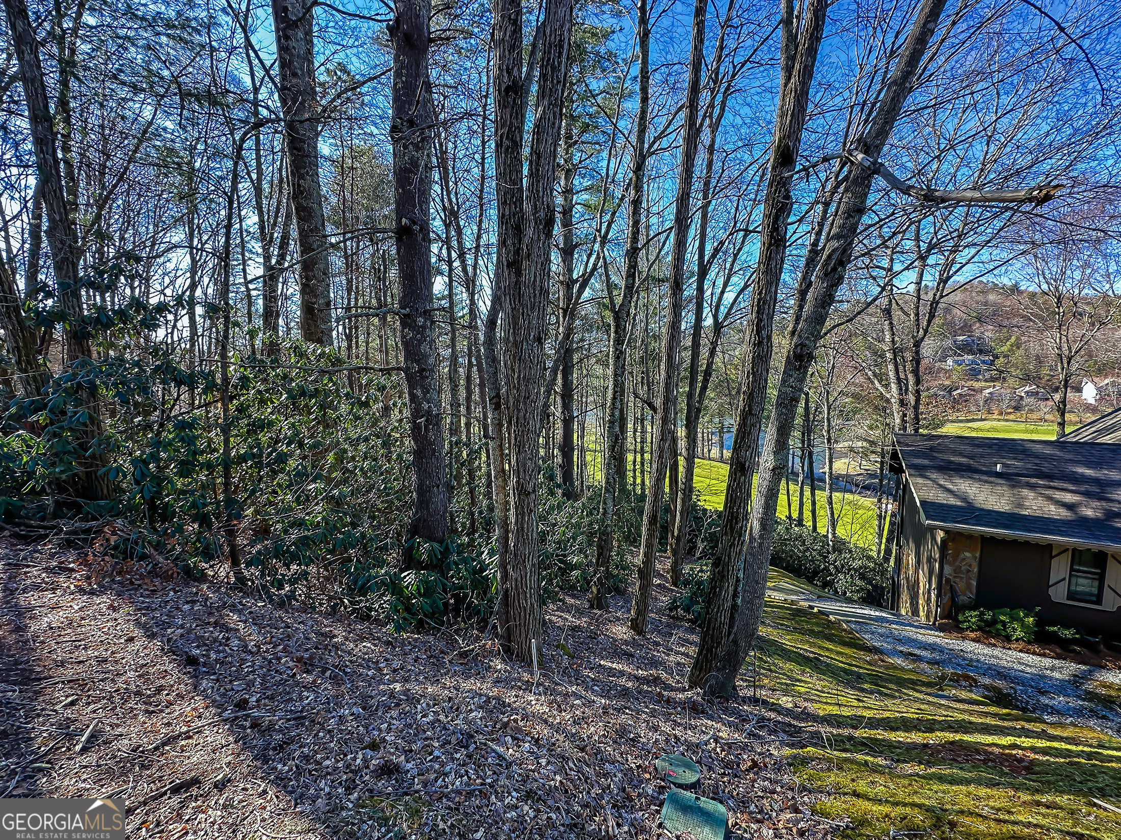 Lot 1 Ridgepole Drive Sky Valley, GA 30537 - Photo 10 of 10