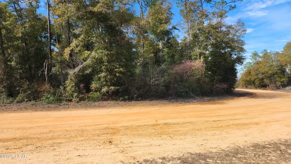 $17,900 | 0 Breese Court, Unit LOT 29, Alford, FL 32420