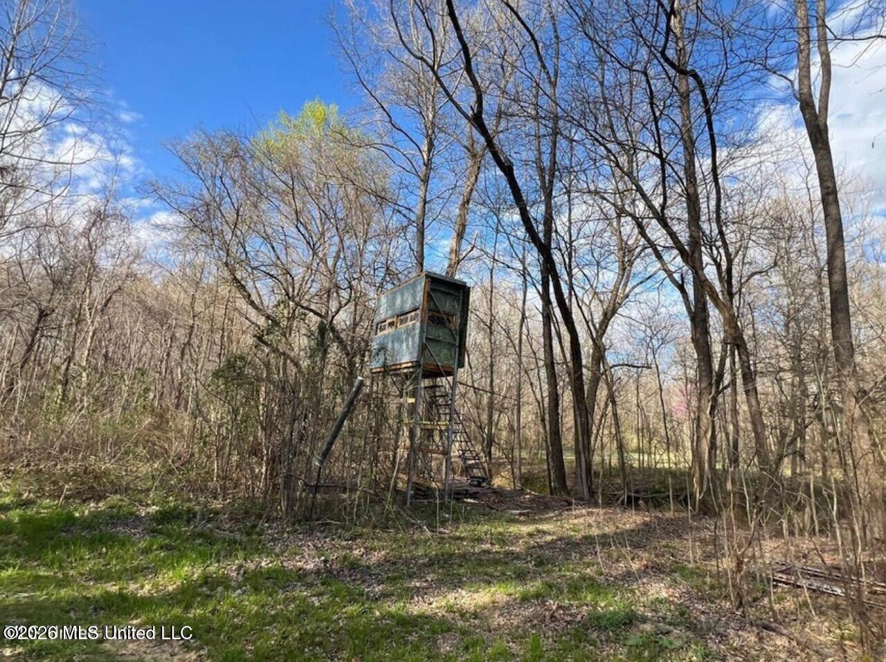 Fogg Road Hernando, MS 38632 - Photo 1 of 7 IMG_0380