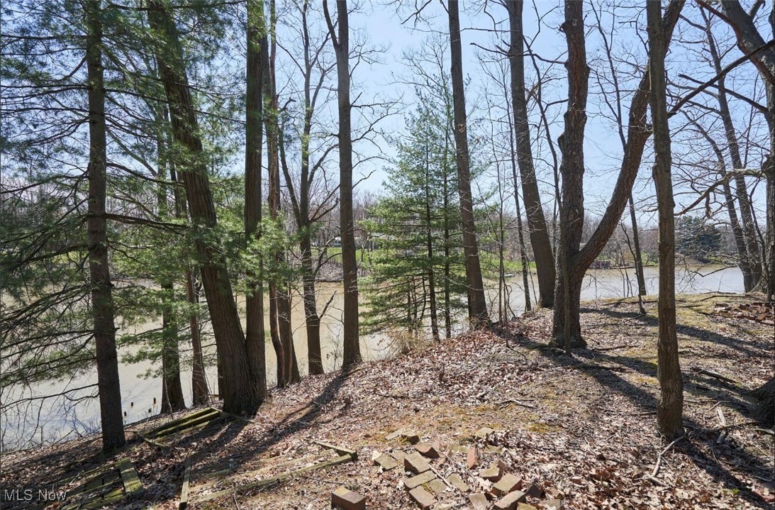 Callender Road Rock Creek, OH 44084 - Photo 3 of 14 View of local wilderness