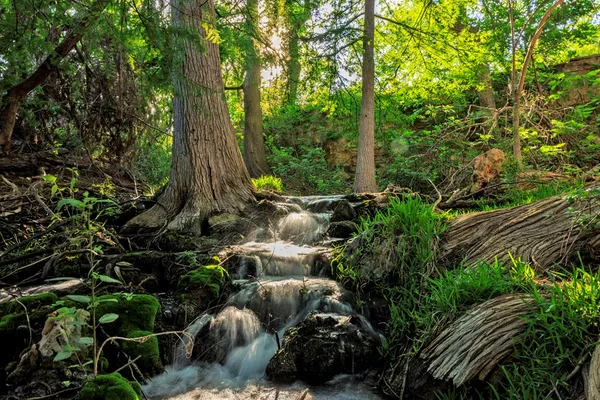a view of a yard with a street