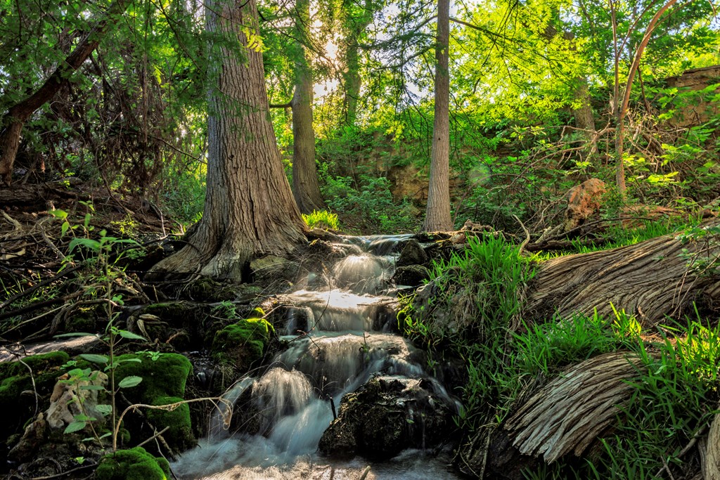 2937 Langes Mill Road Doss, TX 78618 - Photo 22 of 68 a backyard of a house with lots of green space