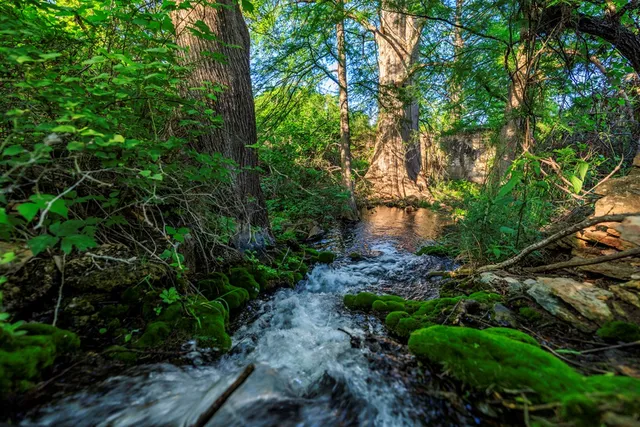 a view of a lake with houses in the back