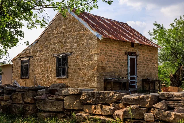 a view of a yard with a tree