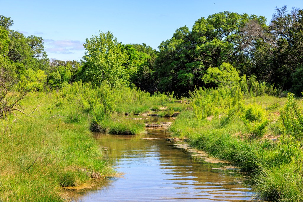 2937 Langes Mill Road Doss, TX 78618 - Photo 28 of 68 Mormon Creek
