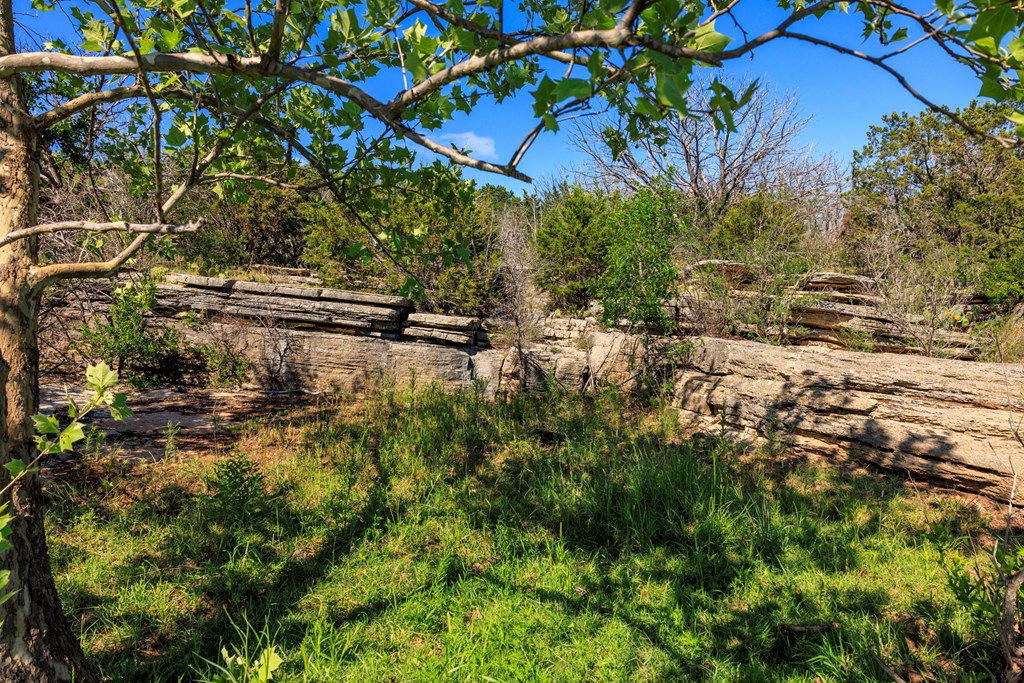 2937 Langes Mill Road Doss, TX 78618 - Photo 39 of 68 a view of a yard with plants and large trees