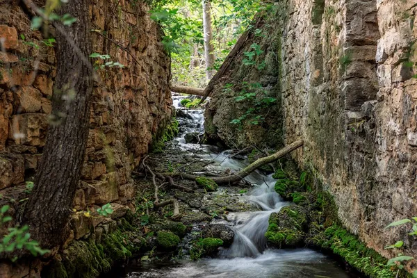 a view of a garden with plants