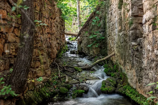 a view of a garden with plants