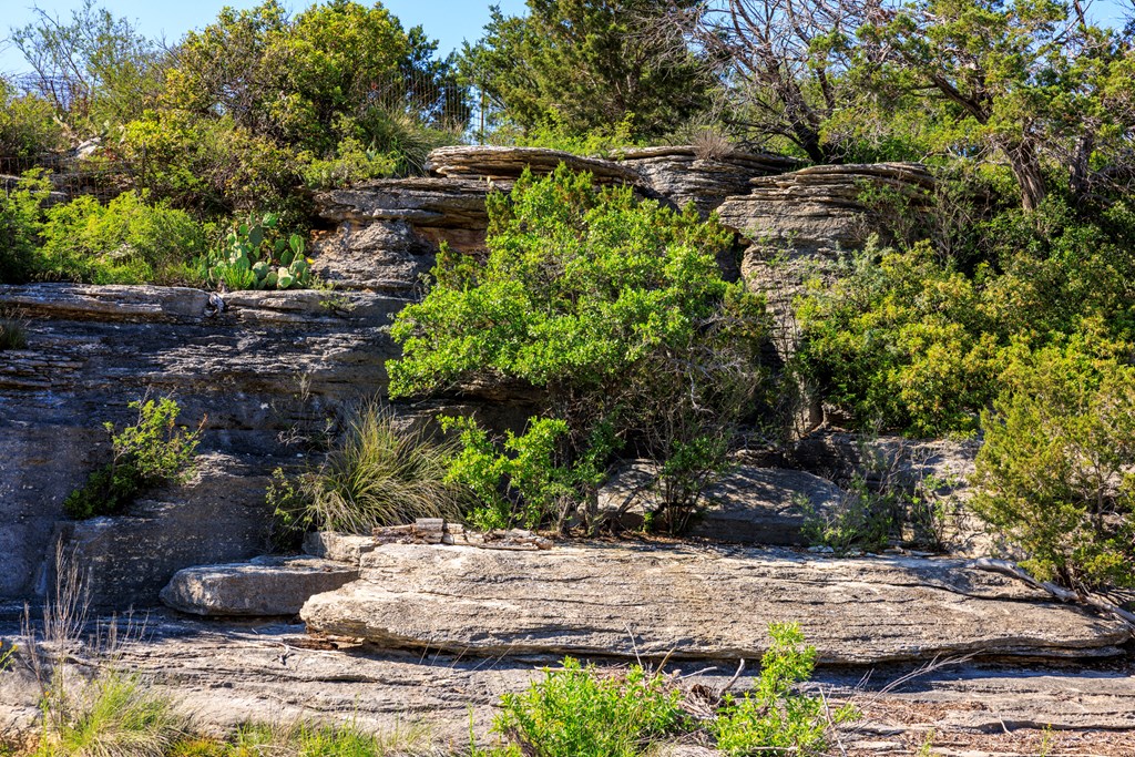2937 Langes Mill Road Doss, TX 78618 - Photo 41 of 68 a view of a garden with an empty tree