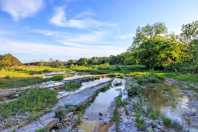 an aerial view of residential houses with outdoor space and trees