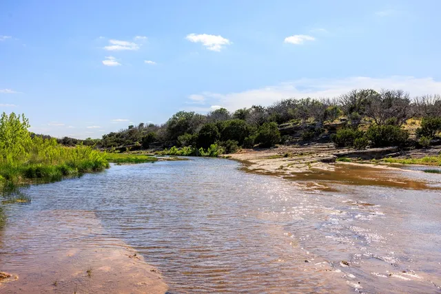 a view of a yard with an trees