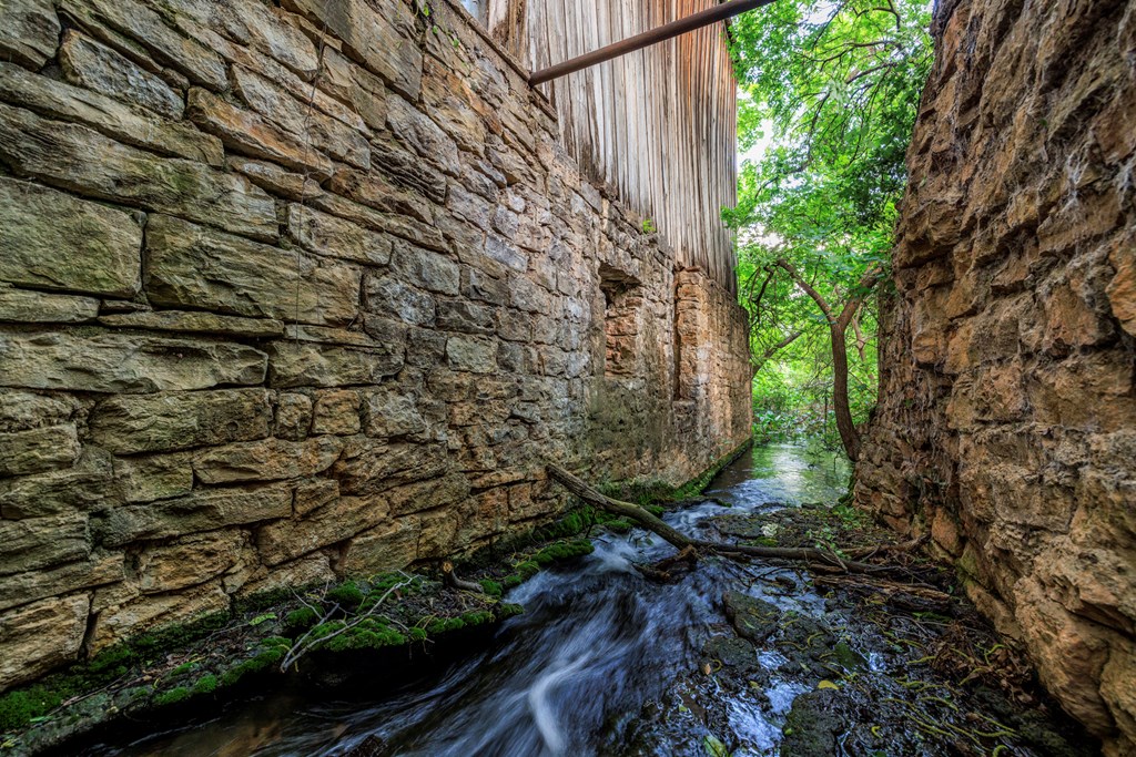 2937 Langes Mill Road Doss, TX 78618 - Photo 5 of 68 a view of a garden with plants