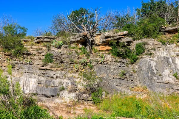 $11,728,850 | 2937 Langes Mill Road, Doss, TX 78618