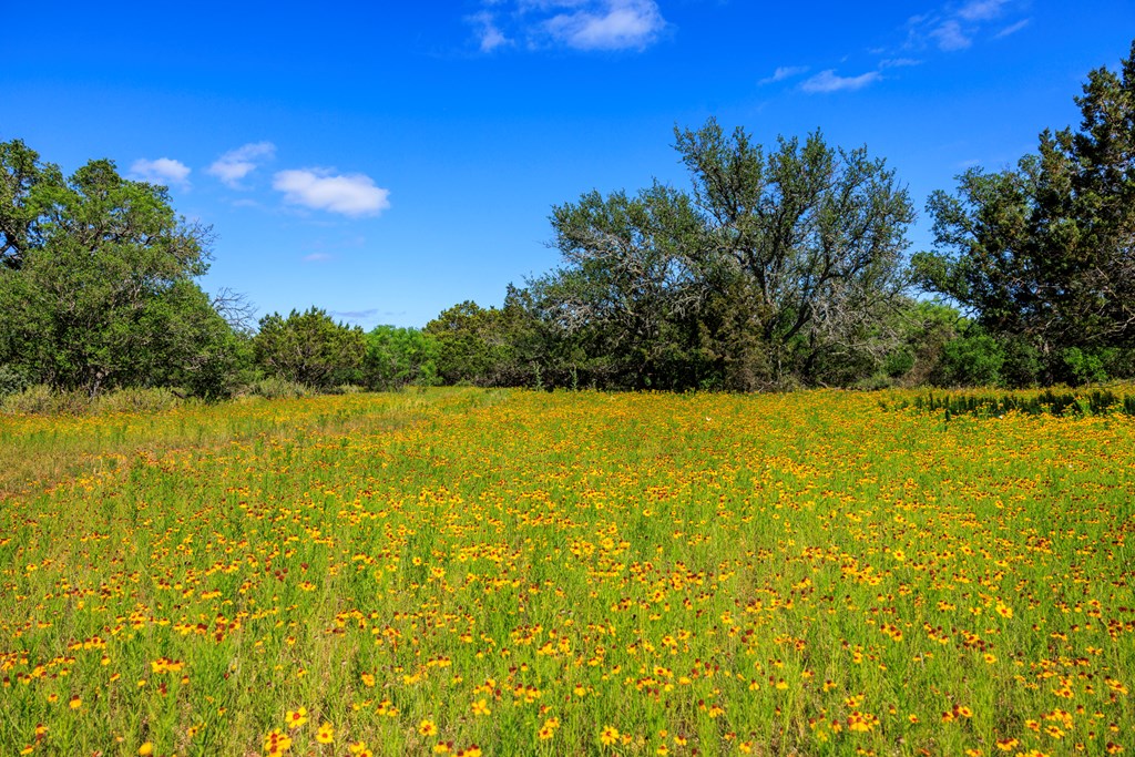 2937 Langes Mill Road Doss, TX 78618 - Photo 53 of 68 a view of a swimming pool and an outdoor space