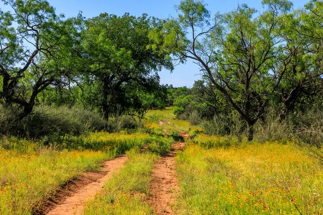 $11,728,850 | 2937 Langes Mill Road, Doss, TX 78618